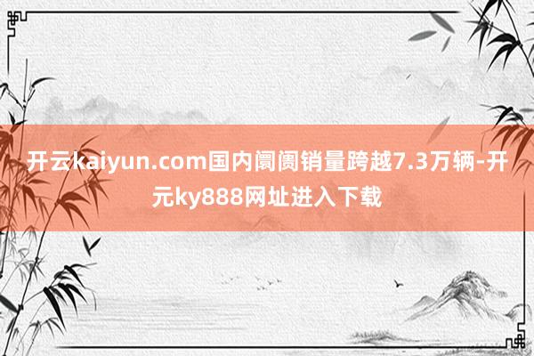 开云kaiyun.com国内阛阓销量跨越7.3万辆-开元ky888网址进入下载